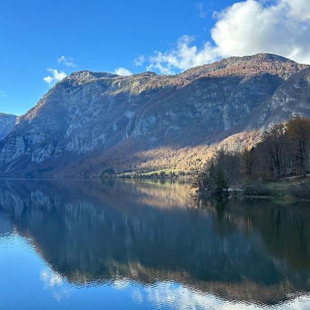 Apartma Tisa Bohinj-No Ouside Windows Zewnętrze zdjęcie